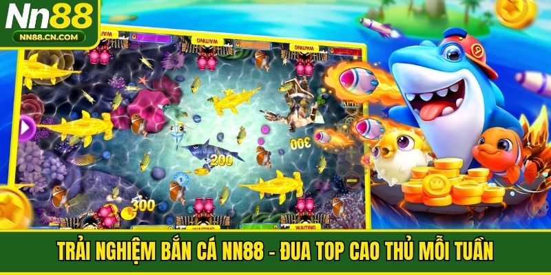 Trải nghiệm bắn cá NN88 - Đua top cao thủ mỗi tuần
